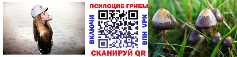 Галлюциногенные грибы Cubensis  Тында 